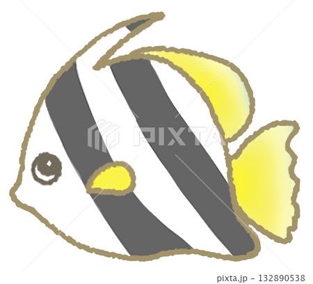 泳ぐエンゼルフィッシュ 泳ぐエンゼルフィッシュ 132890538