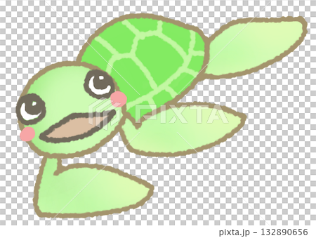 泳ぐウミガメ 132890656