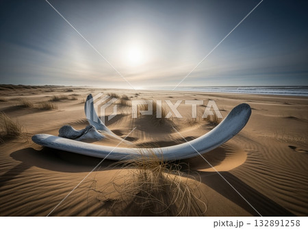 Massive bleached whalebone lies half buried in shifting sand dunes on a desolate coastline. 132891258