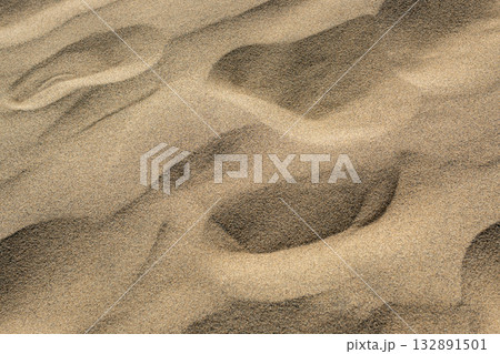 鳥取砂丘、風紋が美しい砂浜 鳥取砂丘、風紋が美しい砂浜 132891501