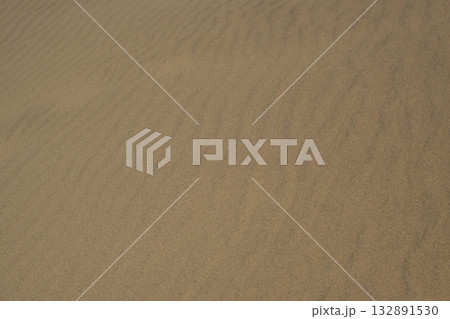 鳥取砂丘、風紋が美しい砂浜 132891530