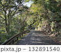 木陰 132891540