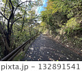 木陰道 132891541