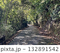 木陰の道 132891542