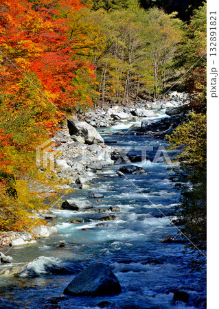 大井川源流と秋の紅葉 132891821