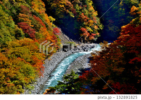 大井川源流と秋の紅葉 132891825