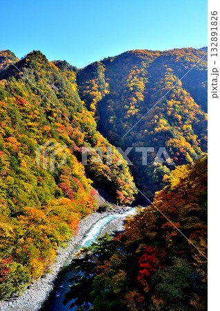 大井川源流と秋の紅葉 大井川源流と秋の紅葉 132891826
