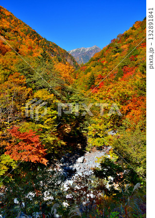 大井川源流と秋の紅葉 132891841