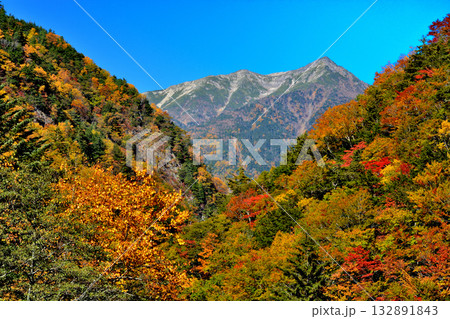 大井川源流と秋の紅葉と赤石岳 132891843