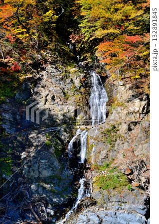 大井川源流と秋の紅葉 132891845
