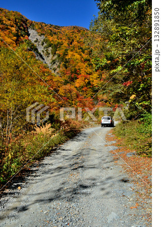 大井川源流と秋の紅葉 大井川源流と秋の紅葉 132891850