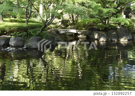 太田黒公園の庭園 池 太田黒公園の庭園 池 132892257