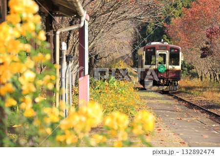 わたらせ渓谷鐵道「11月初旬の上神梅駅と列車」花々と紅葉に包まれて わたらせ渓谷鐵道「11月初旬の上神梅駅と列車」花々と紅葉に包まれて 132892474