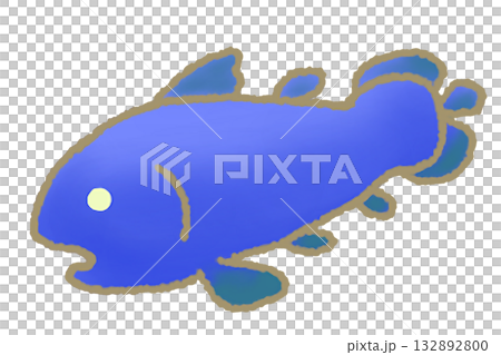 腔棘魚 腔棘魚 132892800