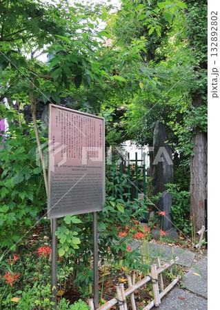東京都台東区千束の新吉原花園池 弁天池跡 東京都台東区千束の新吉原花園池 弁天池跡 132892802