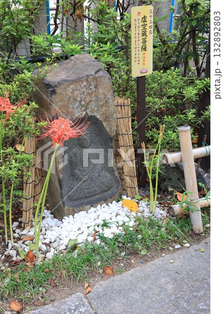 東京都台東区千束の新吉原花園池 弁天池跡の石像 東京都台東区千束の新吉原花園池 弁天池跡の石像 132892803
