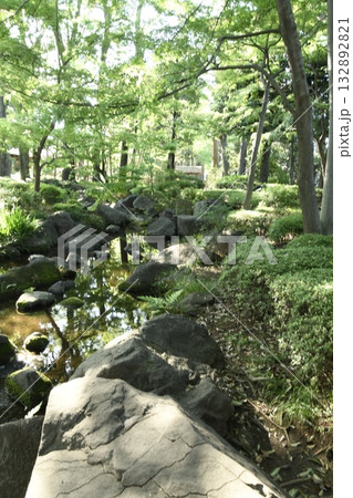 太田黒公園の庭園 小川 太田黒公園の庭園 小川 132892821
