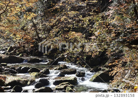 渓谷の紅葉と落ち葉　（群馬県　照葉峡） 132893158