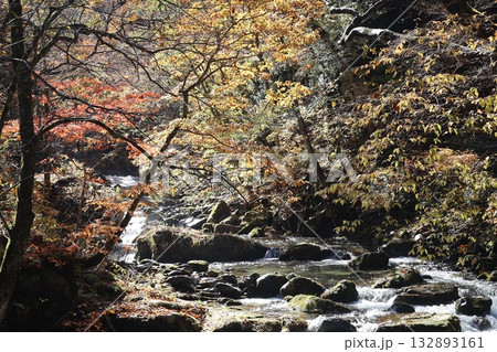 渓谷の紅葉と落ち葉　（群馬県　照葉峡） 132893161
