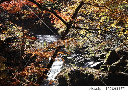 渓谷の紅葉と落ち葉　（群馬県　照葉峡） 132893175