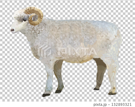 sheep (ram) 132893321