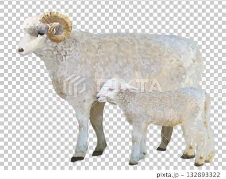 公羊和羔羊 132893322