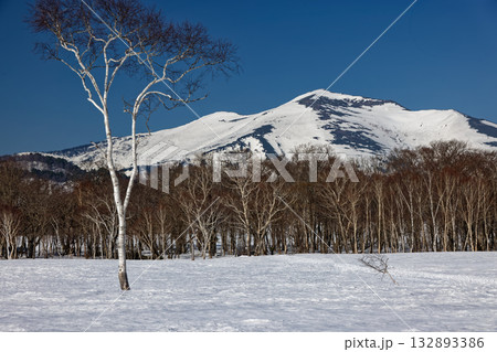残雪期の尾瀬ヶ原から見る至仏山 132893386