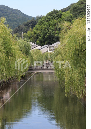 城崎温泉の太鼓橋のある風景 132893493