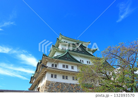 愛知県名古屋市、秋の名古屋城の風景 132893570