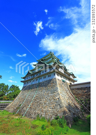 愛知県名古屋市、秋の名古屋城の風景 132893572