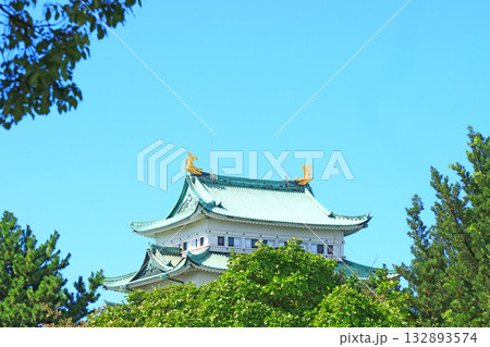 愛知県名古屋市、秋の名古屋城の風景 132893574