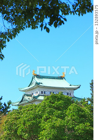 愛知県名古屋市、秋の名古屋城の風景 愛知県名古屋市、秋の名古屋城の風景 132893575