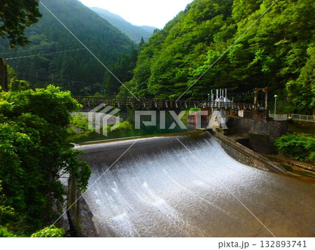 緑深まる根尾川と穏やかな水の流れ 132893741