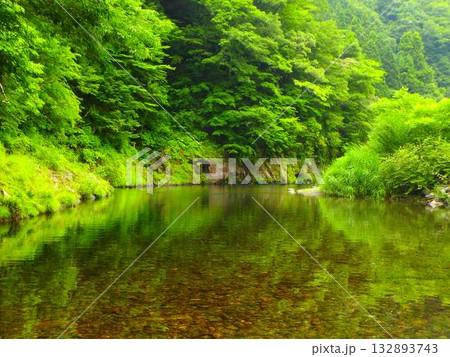 静けさに包まれた初夏の清流、根尾川の風景 132893743