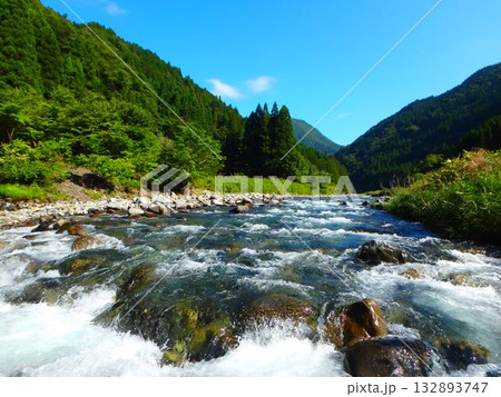 夏の根尾川、白波踊る清流と緑の渓谷 132893747