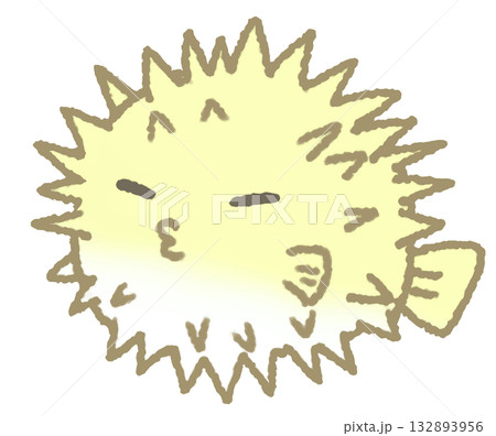 ふくらむハリセンボン 132893956