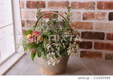 秋の寄せ植え 秋の寄せ植え 132893999