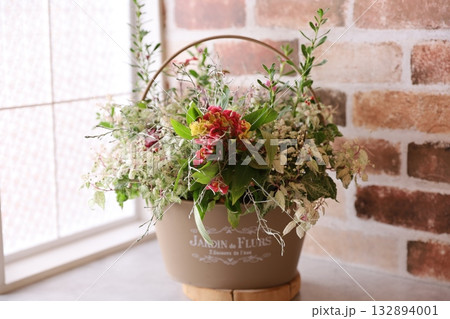 秋の寄せ植え 秋の寄せ植え 132894001