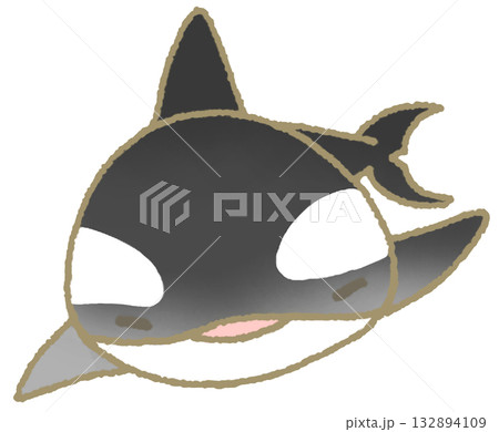 泳ぐシャチ 132894109