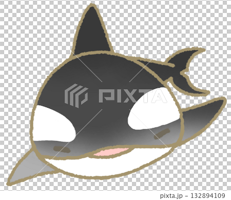 泳ぐシャチ 132894109