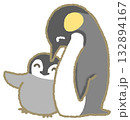 ペンギンの親子 132894167