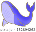 泳ぐクジラ 132894262