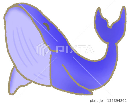 泳ぐクジラ 132894262