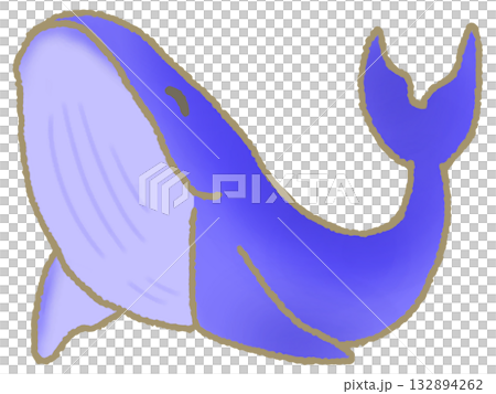 泳ぐクジラ 132894262