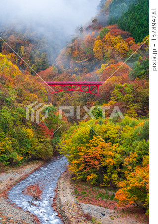 松川渓谷（秋）　高山村 132894281