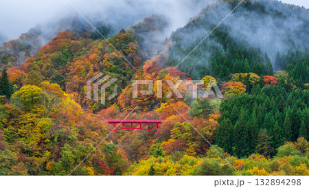 松川渓谷（秋）　高山村 132894298
