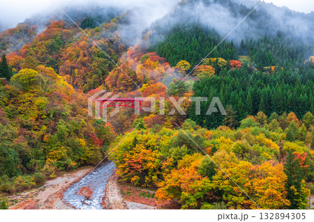 松川渓谷（秋）　高山村 132894305