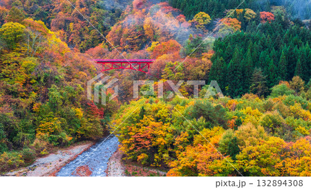 松川渓谷（秋）　高山村 132894308
