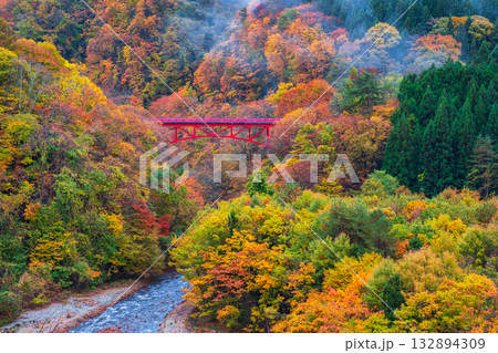 松川渓谷(秋) 高山村 松川渓谷(秋) 高山村 132894309