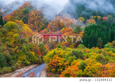 松川渓谷（秋）　高山村 132894311